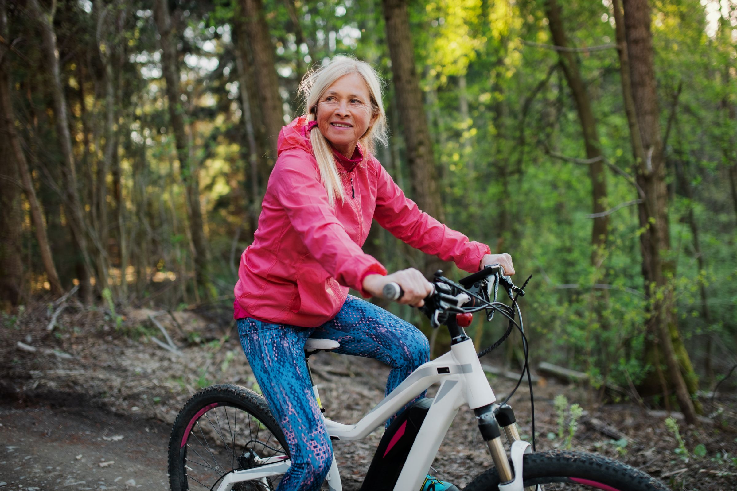 e bike