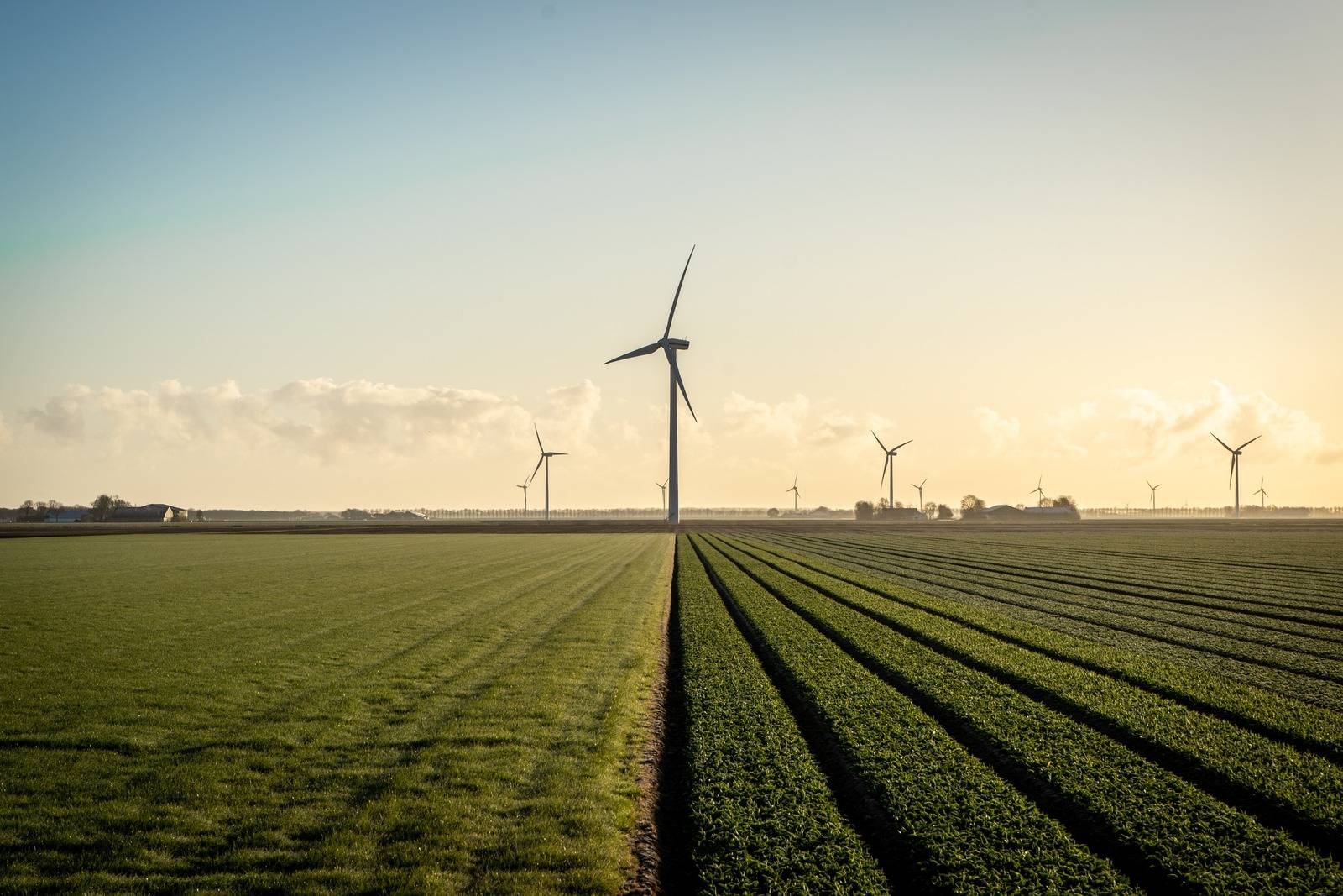 wind turbine on land